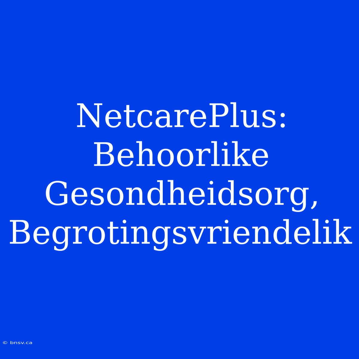 NetcarePlus: Behoorlike Gesondheidsorg, Begrotingsvriendelik