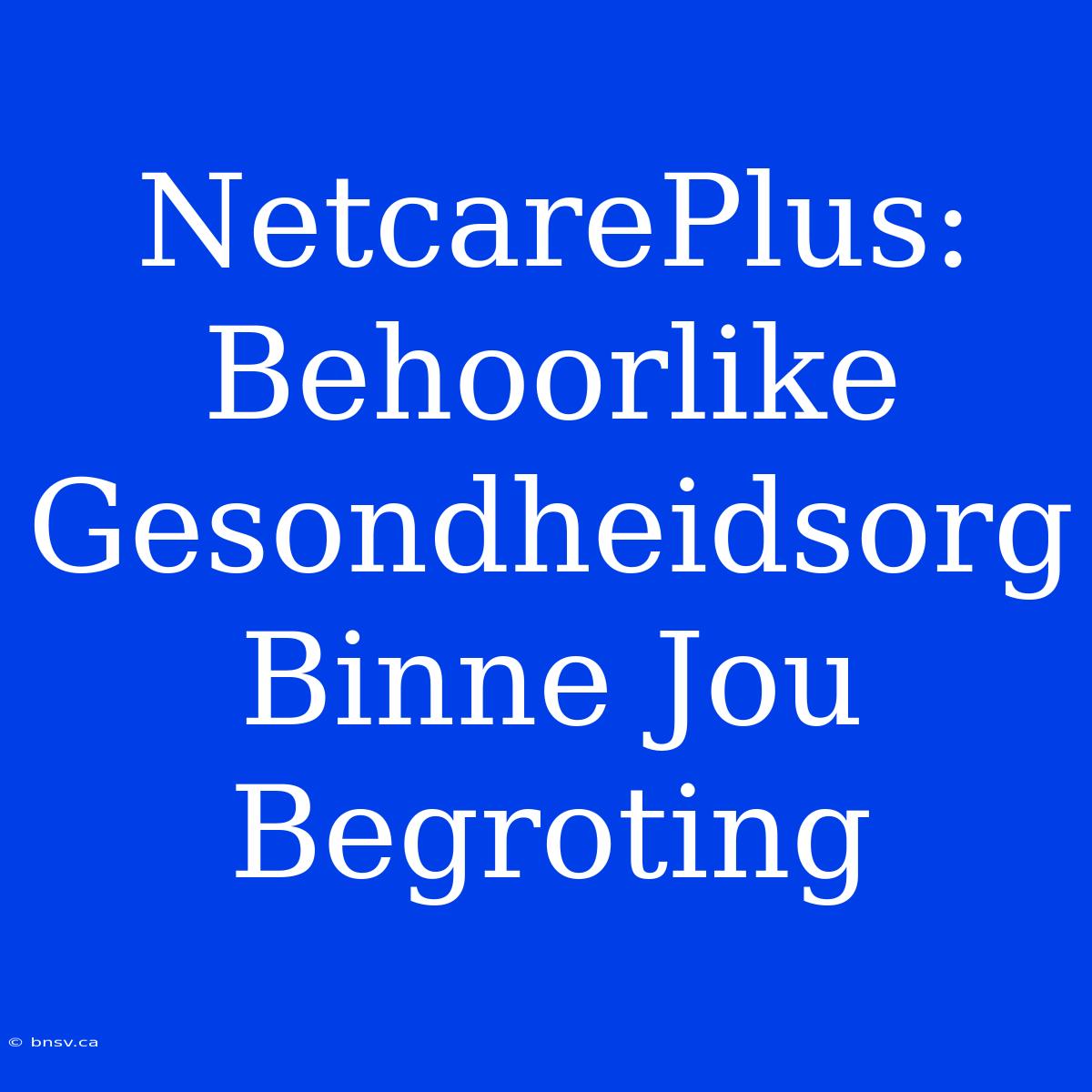 NetcarePlus: Behoorlike Gesondheidsorg Binne Jou Begroting