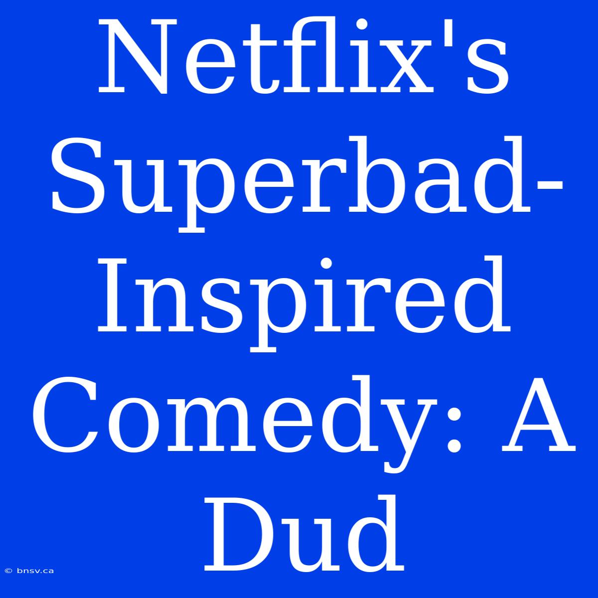 Netflix's Superbad-Inspired Comedy: A Dud