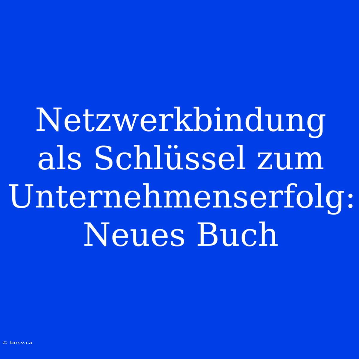 Netzwerkbindung Als Schlüssel Zum Unternehmenserfolg: Neues Buch