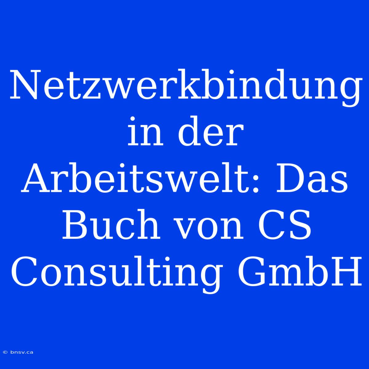 Netzwerkbindung In Der Arbeitswelt: Das Buch Von CS Consulting GmbH