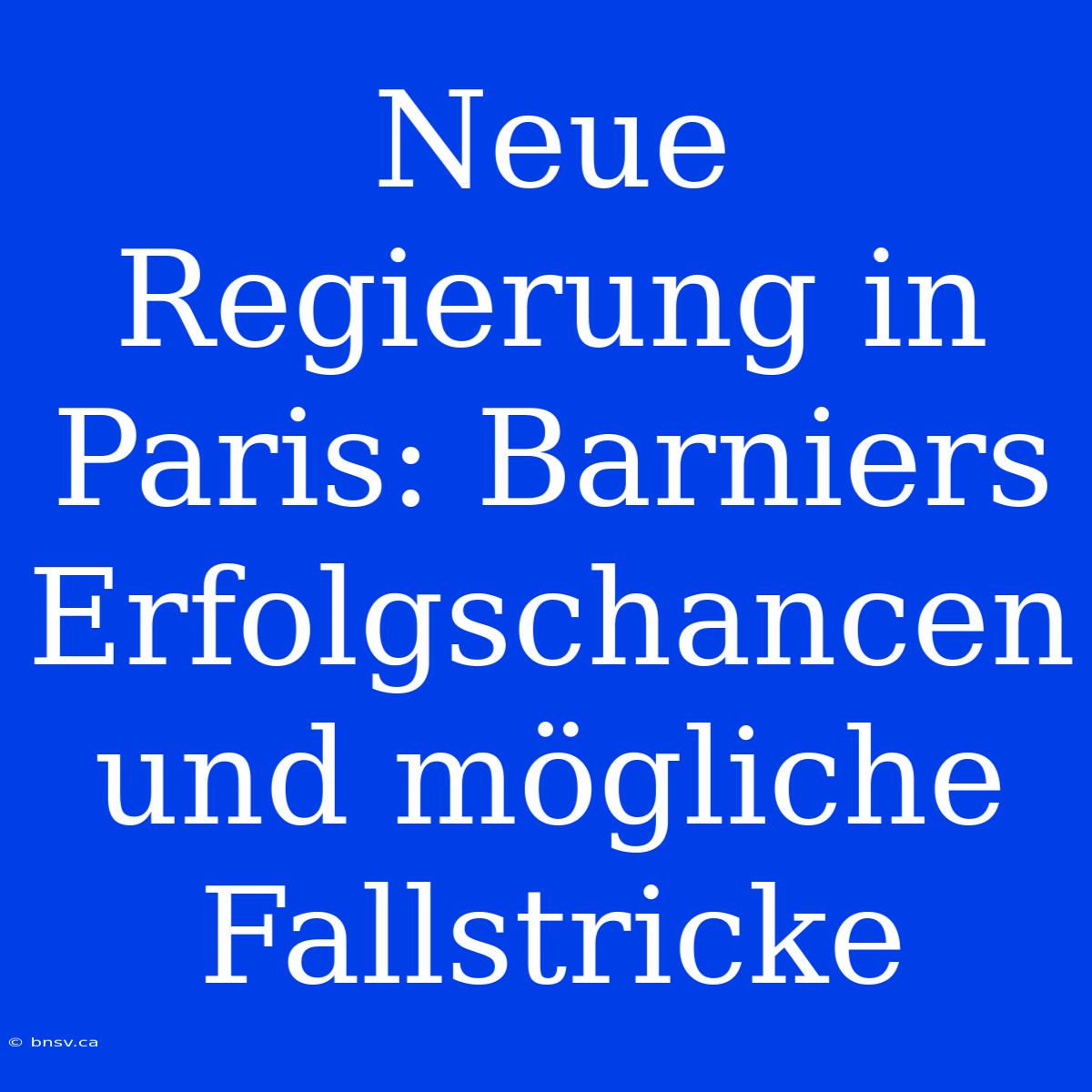 Neue Regierung In Paris: Barniers Erfolgschancen Und Mögliche Fallstricke