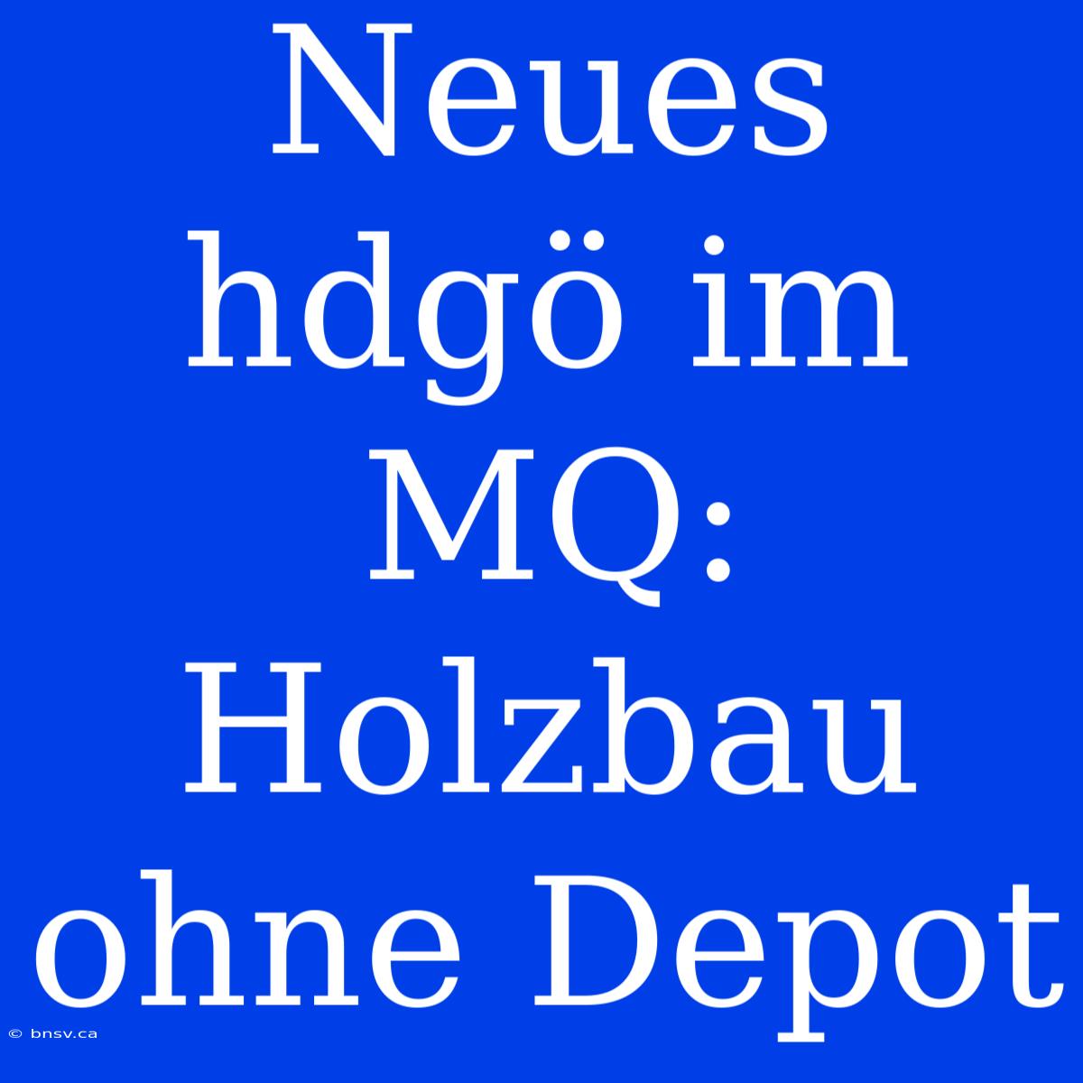 Neues Hdgö Im MQ: Holzbau Ohne Depot