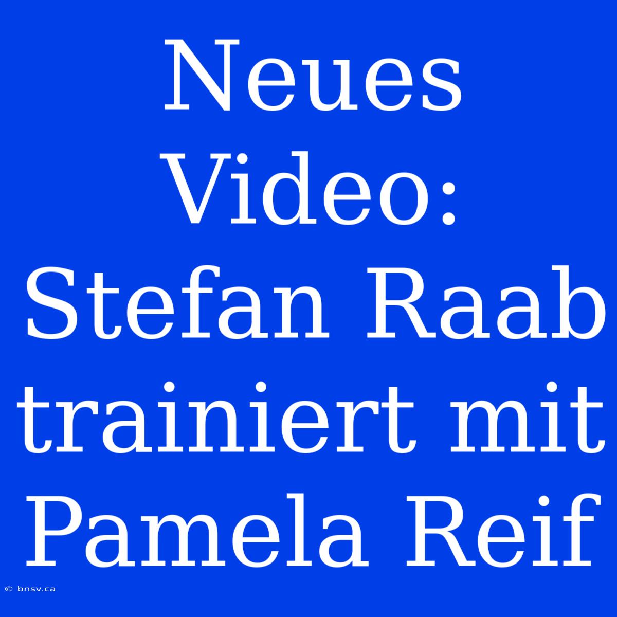 Neues Video: Stefan Raab Trainiert Mit Pamela Reif