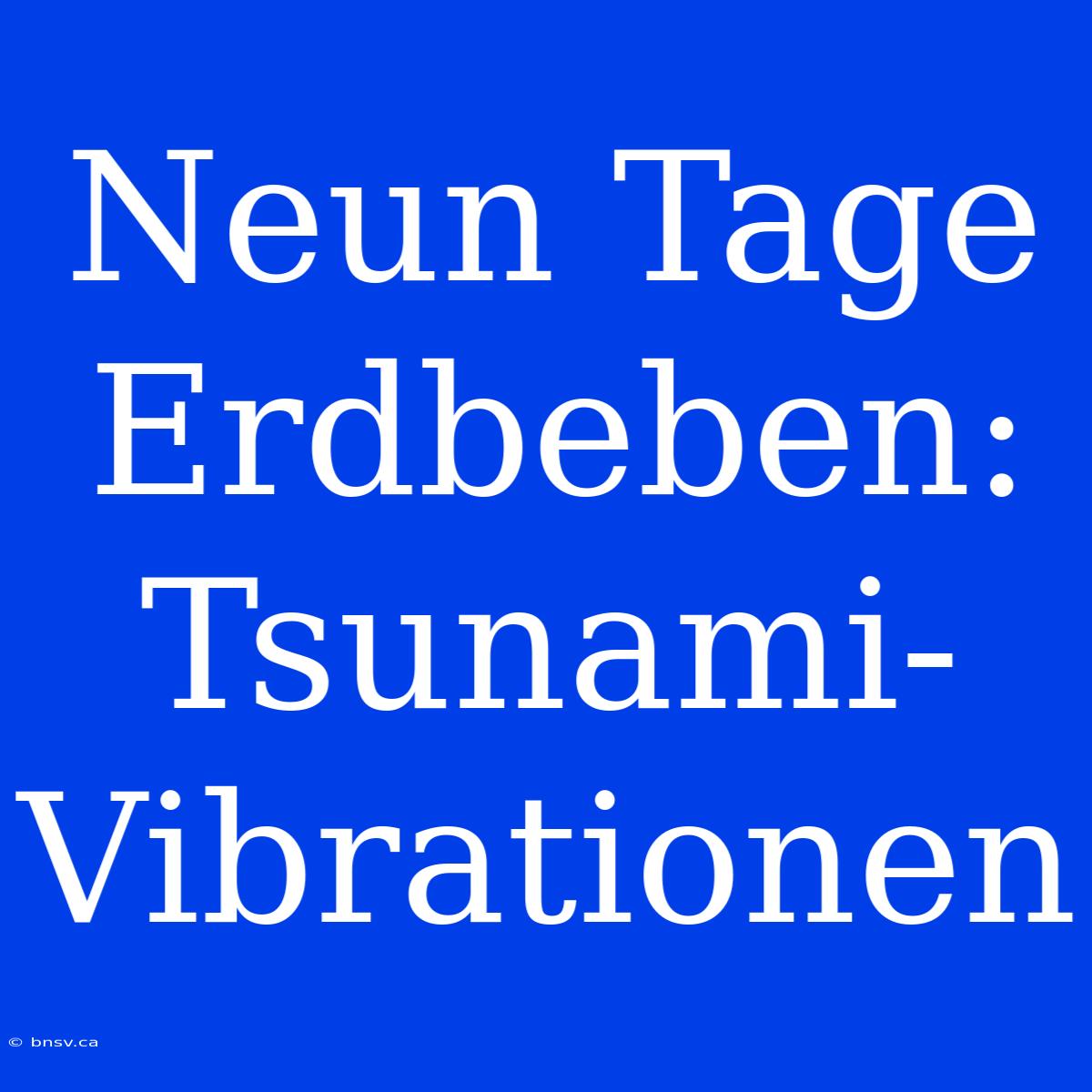 Neun Tage Erdbeben: Tsunami-Vibrationen