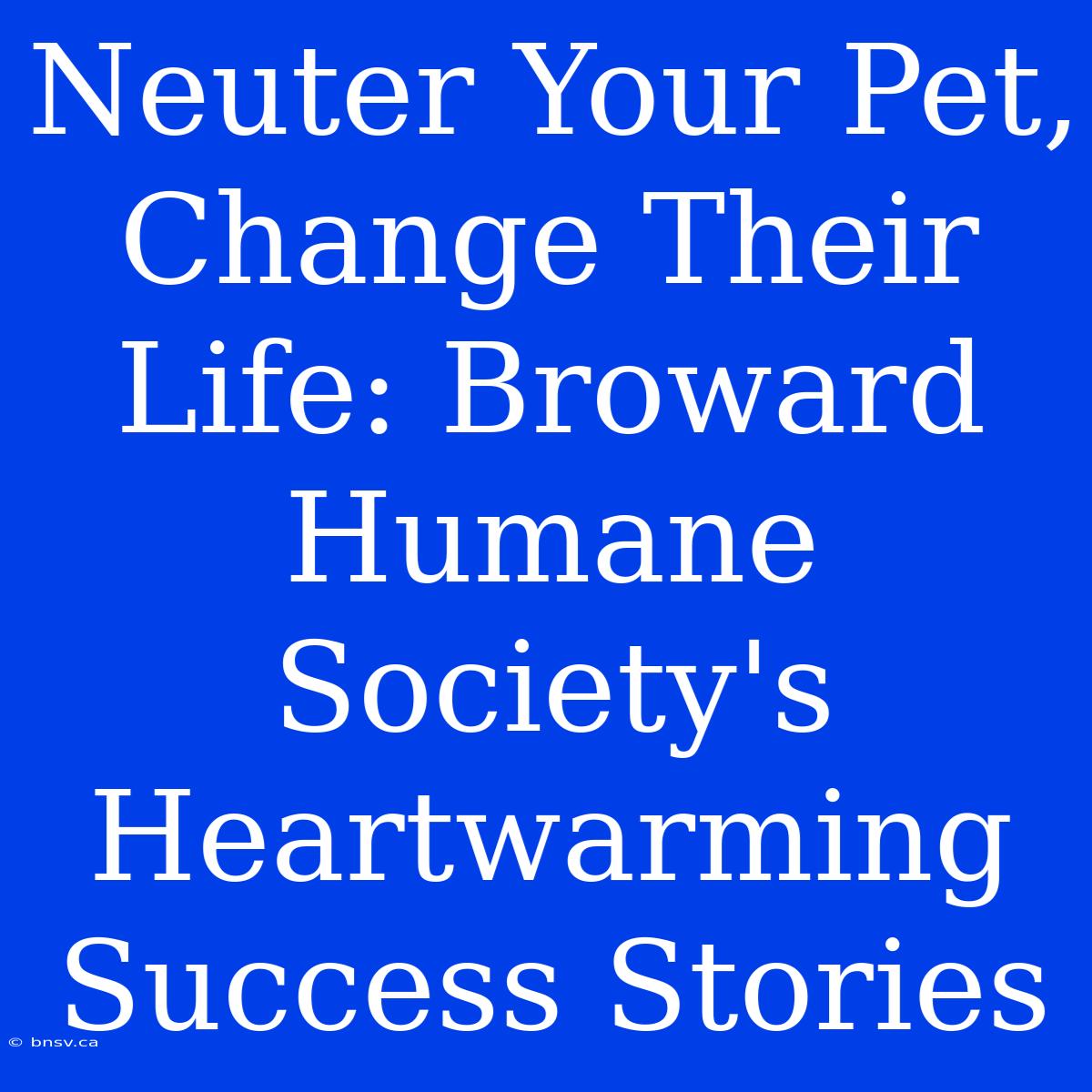 Neuter Your Pet, Change Their Life: Broward Humane Society's Heartwarming Success Stories