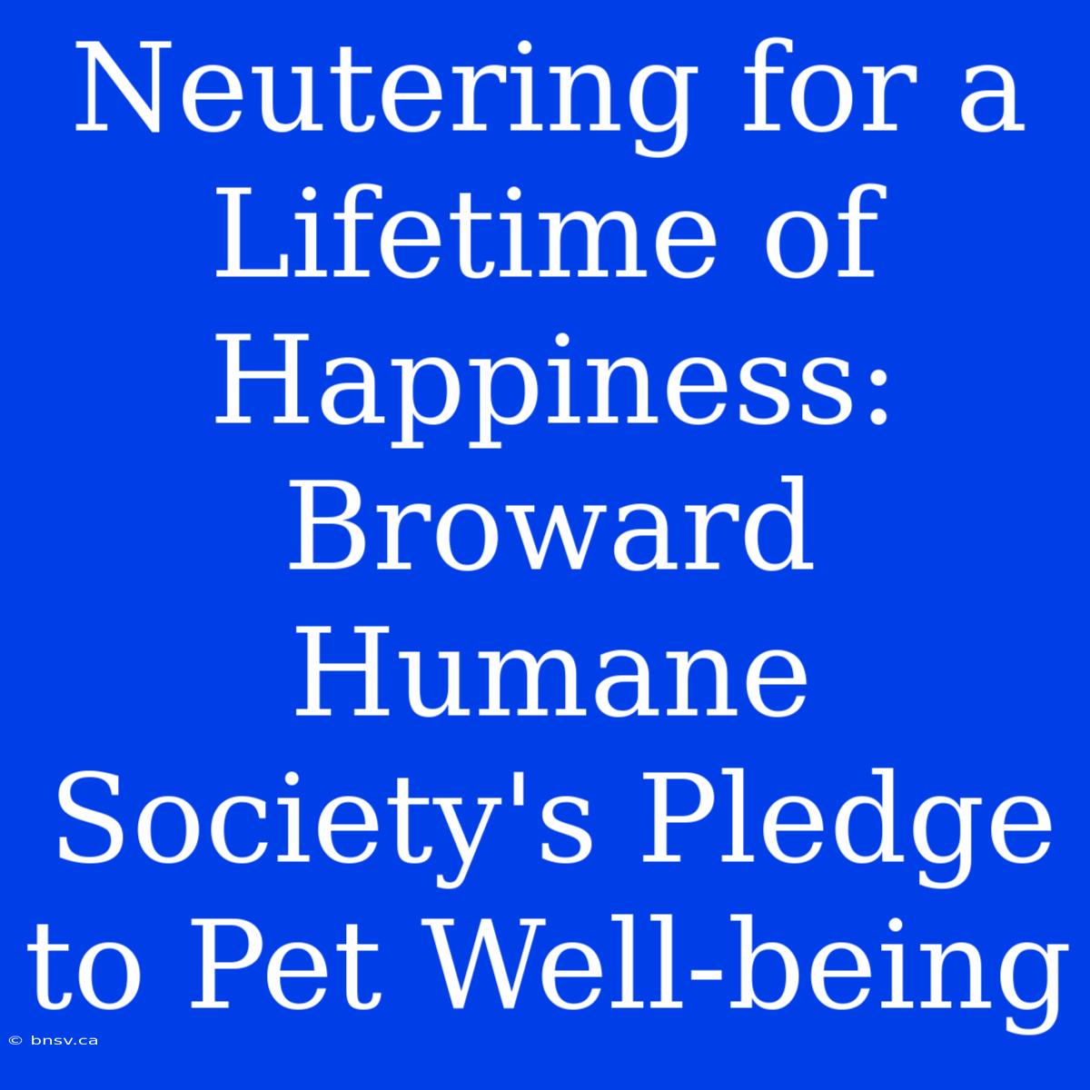 Neutering For A Lifetime Of Happiness: Broward Humane Society's Pledge To Pet Well-being