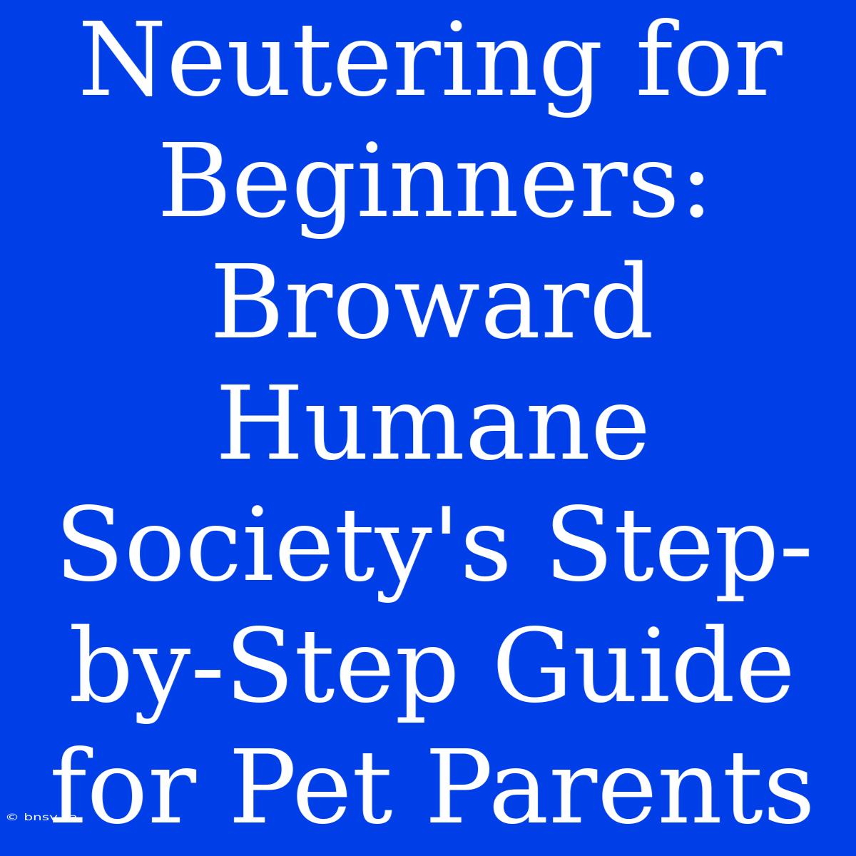 Neutering For Beginners: Broward Humane Society's Step-by-Step Guide For Pet Parents