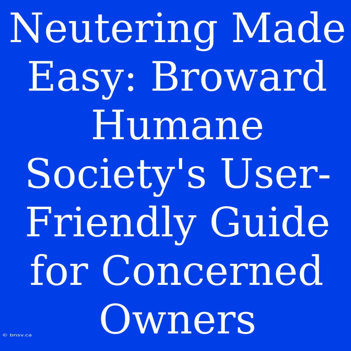 Neutering Made Easy: Broward Humane Society's User-Friendly Guide For Concerned Owners