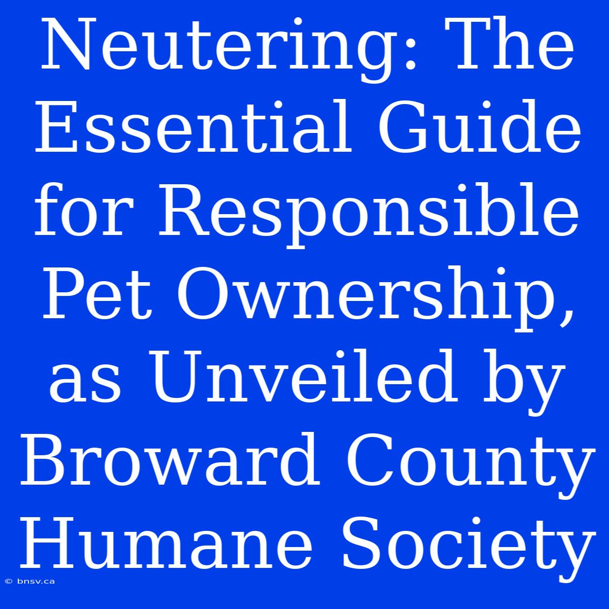 Neutering: The Essential Guide For Responsible Pet Ownership, As Unveiled By Broward County Humane Society