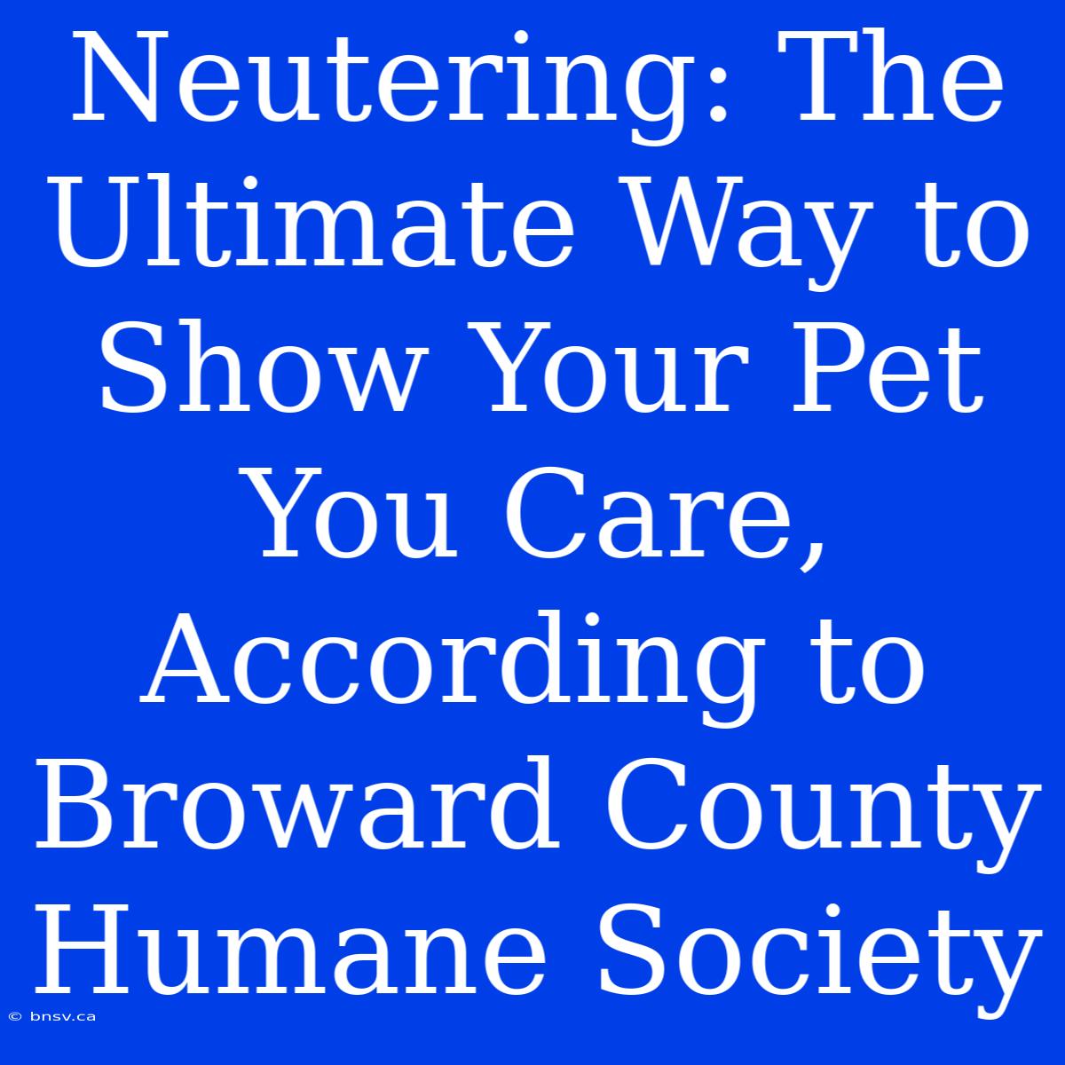 Neutering: The Ultimate Way To Show Your Pet You Care, According To Broward County Humane Society