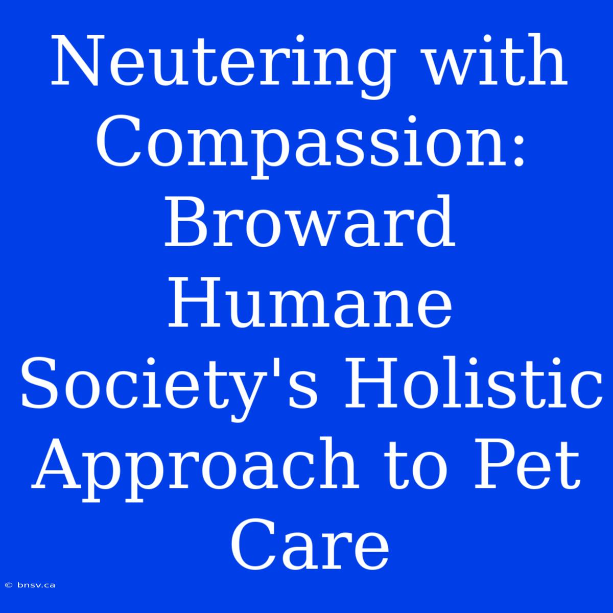 Neutering With Compassion: Broward Humane Society's Holistic Approach To Pet Care