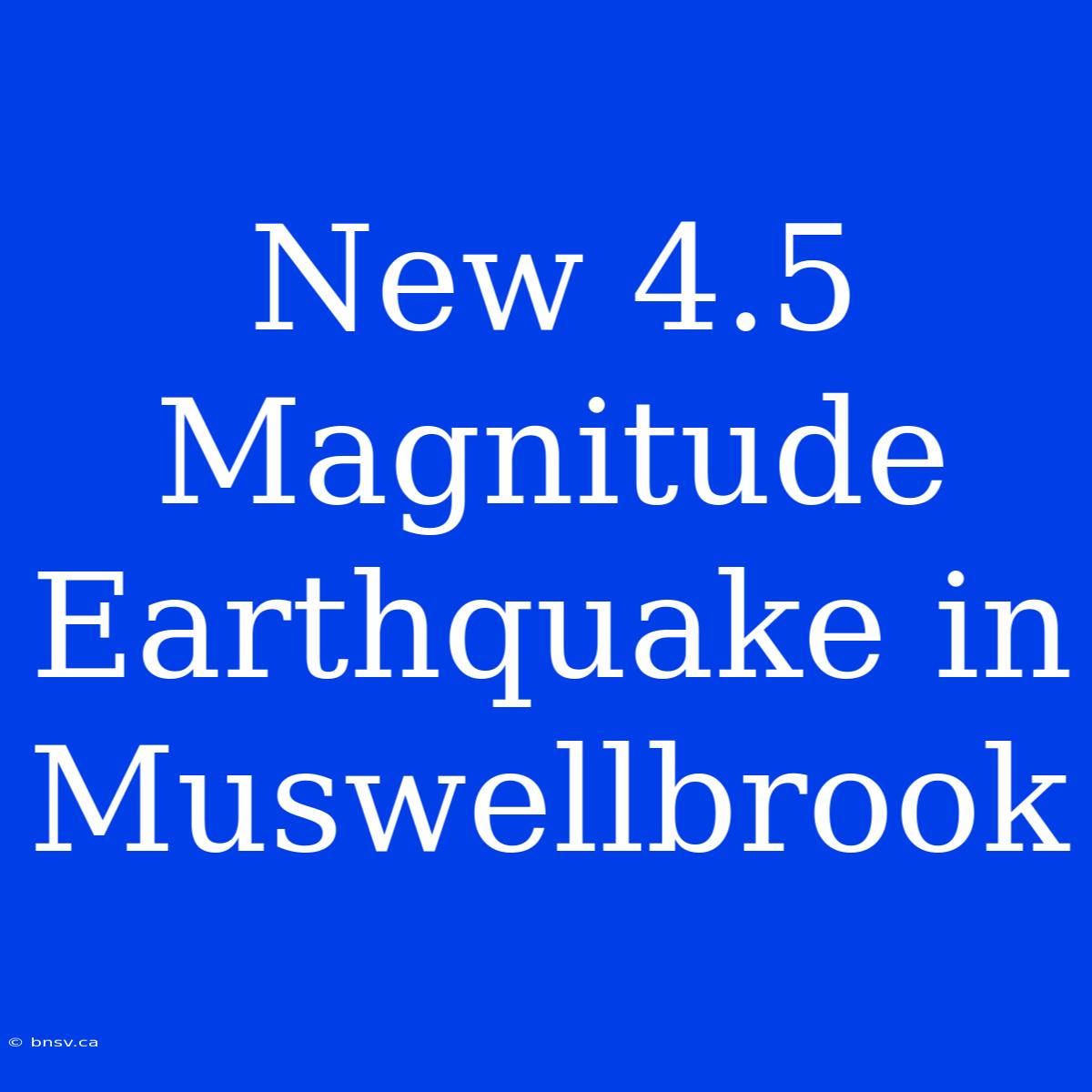 New 4.5 Magnitude Earthquake In Muswellbrook