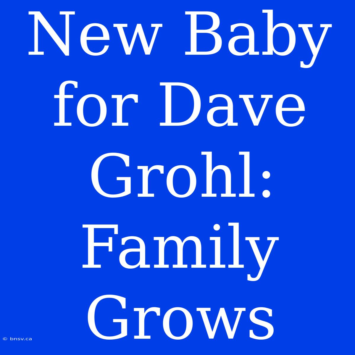 New Baby For Dave Grohl: Family Grows