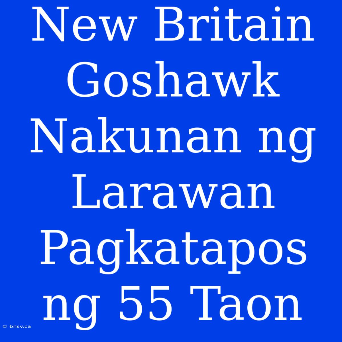 New Britain Goshawk Nakunan Ng Larawan Pagkatapos Ng 55 Taon