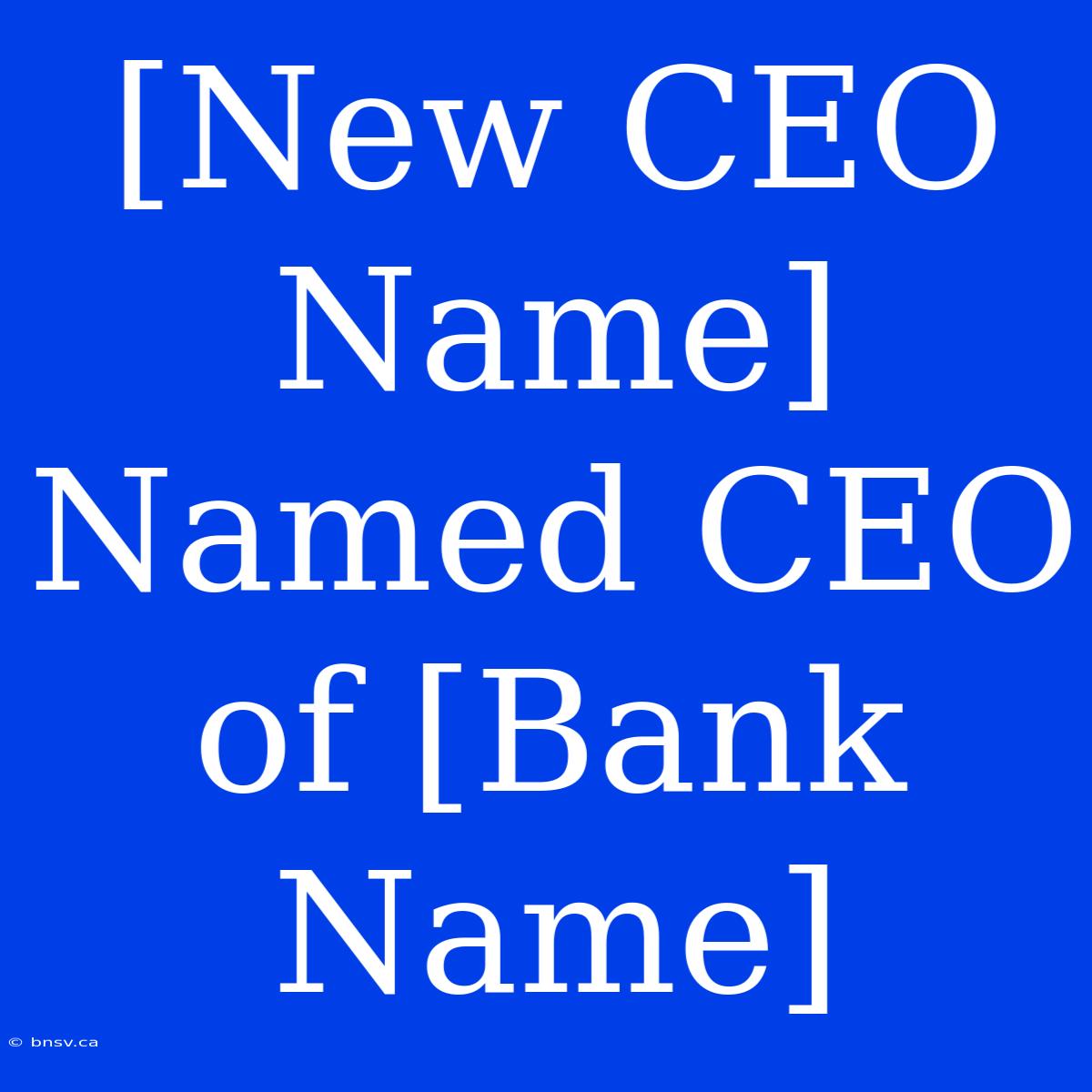 [New CEO Name] Named CEO Of [Bank Name]