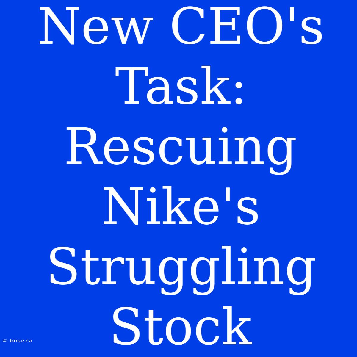 New CEO's Task: Rescuing Nike's Struggling Stock