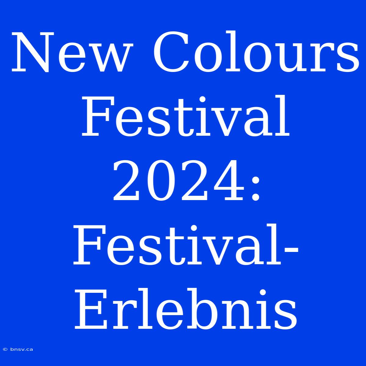 New Colours Festival 2024: Festival-Erlebnis