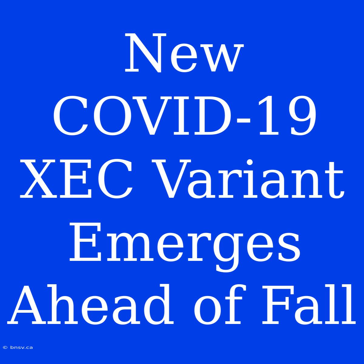 New COVID-19 XEC Variant Emerges Ahead Of Fall