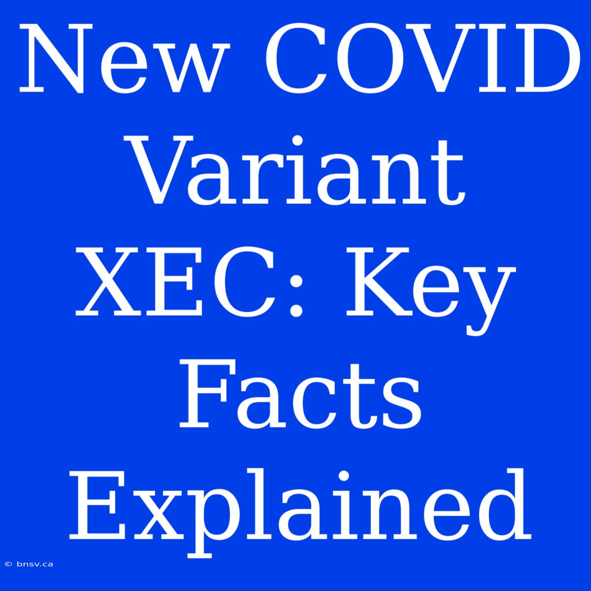 New COVID Variant XEC: Key Facts Explained