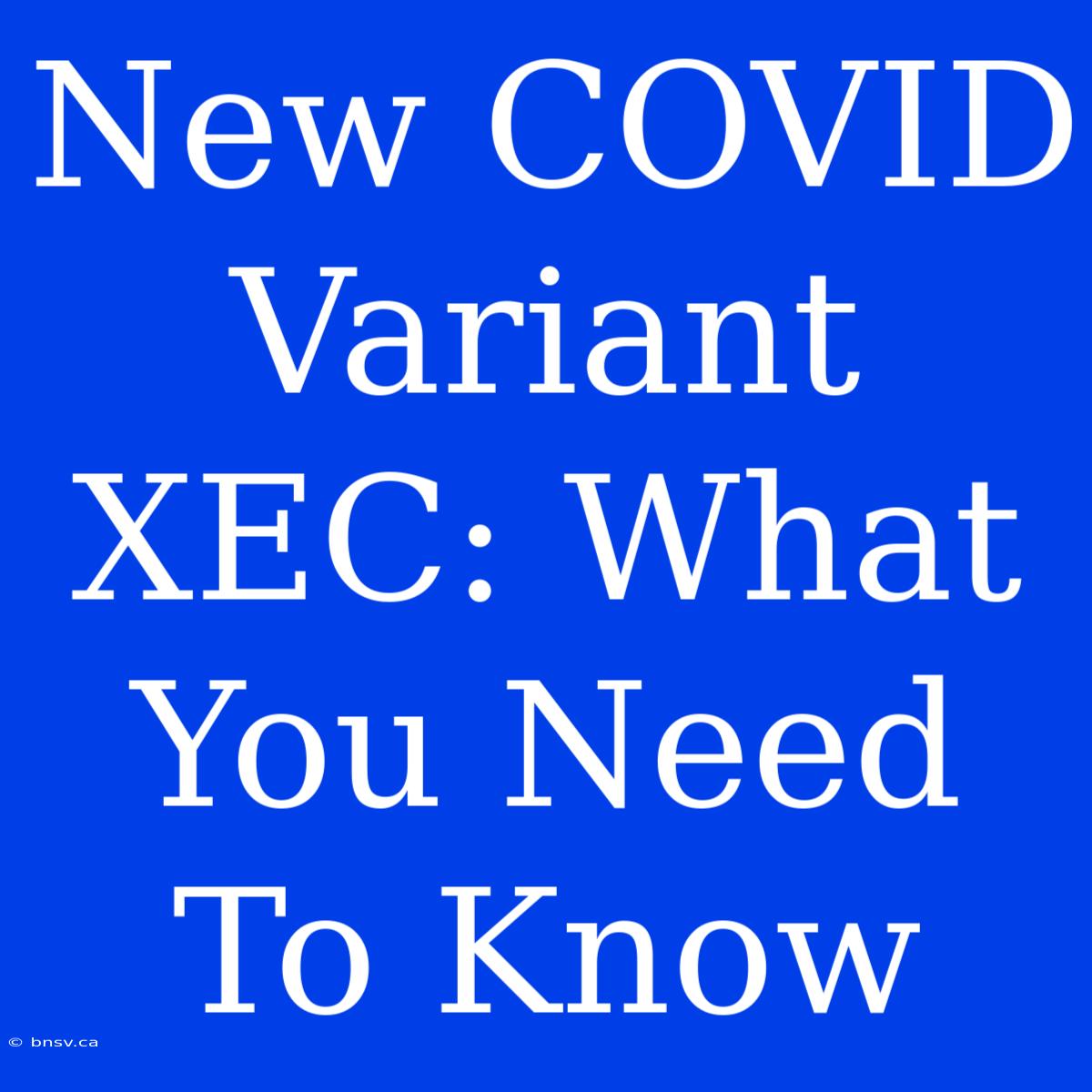 New COVID Variant XEC: What You Need To Know