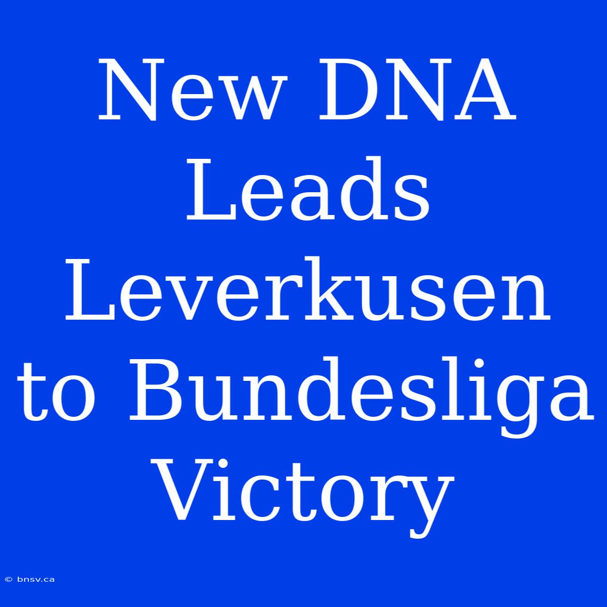 New DNA Leads Leverkusen To Bundesliga Victory