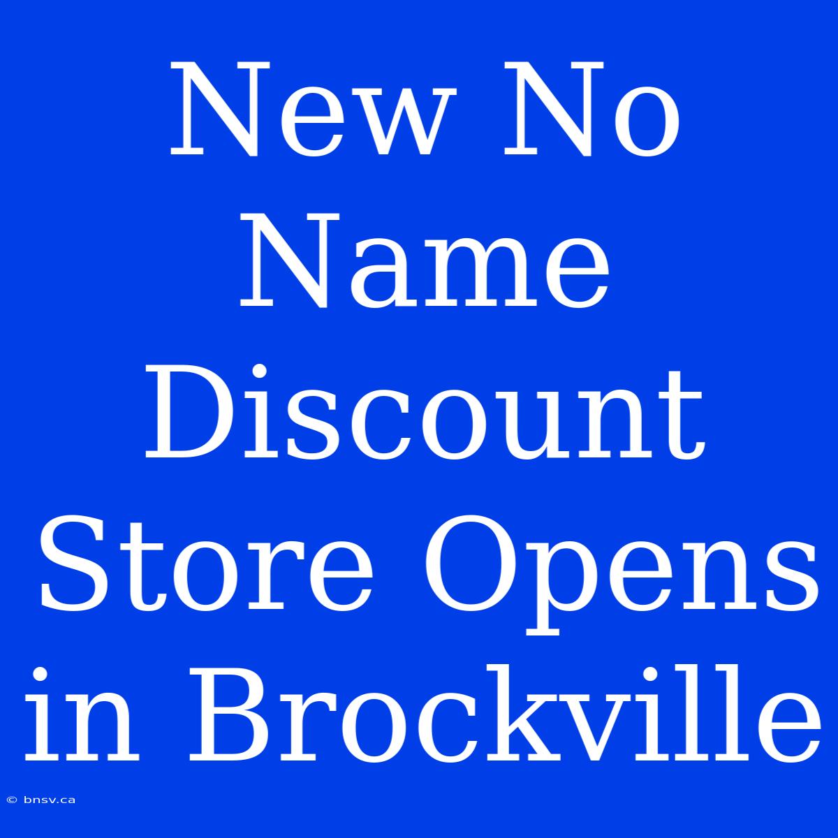 New No Name Discount Store Opens In Brockville