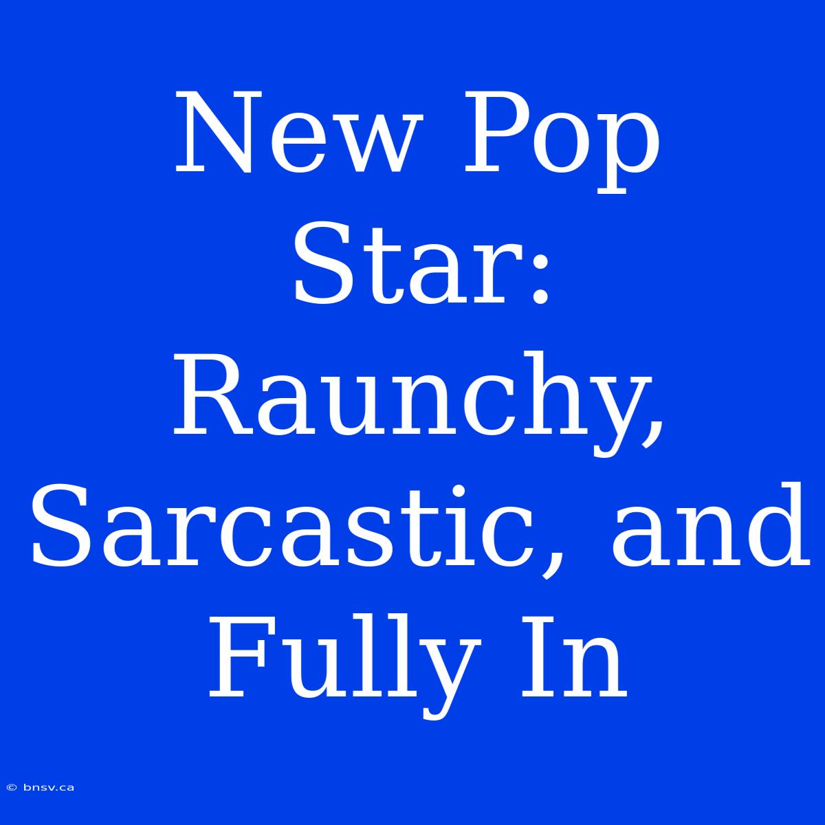 New Pop Star: Raunchy, Sarcastic, And Fully In