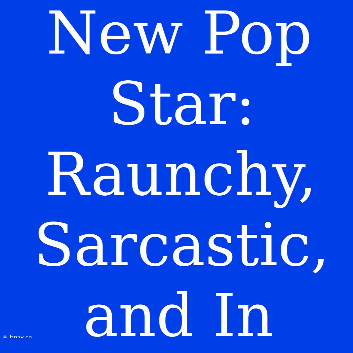 New Pop Star: Raunchy, Sarcastic, And In