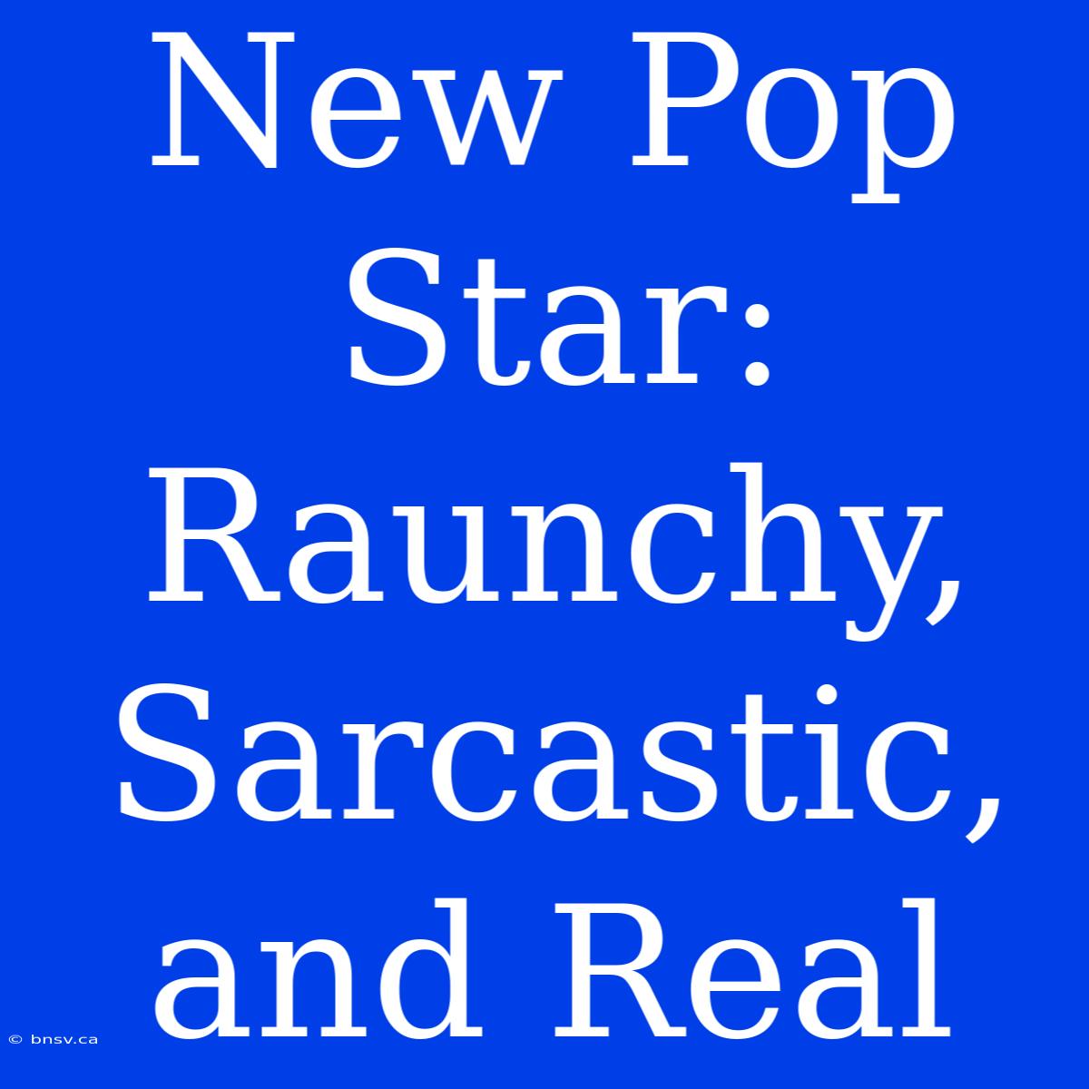 New Pop Star: Raunchy, Sarcastic, And Real