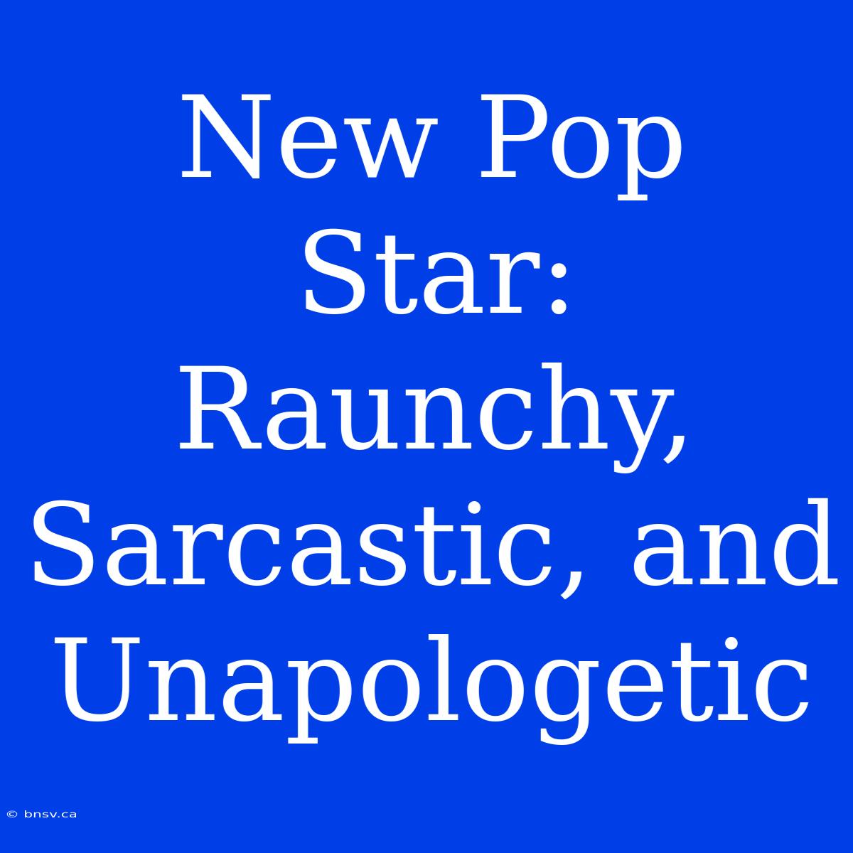 New Pop Star: Raunchy, Sarcastic, And Unapologetic