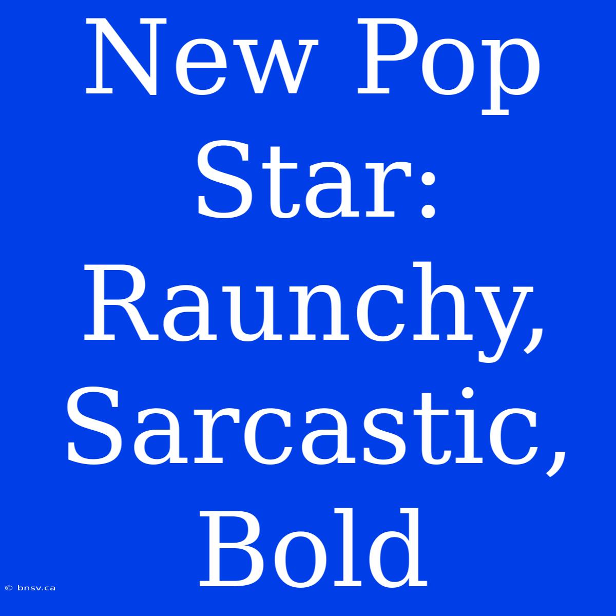 New Pop Star: Raunchy, Sarcastic, Bold