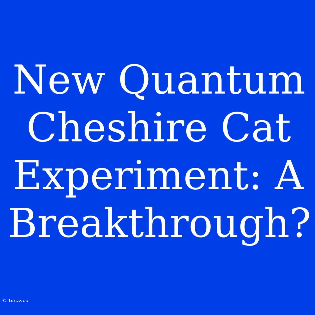 New Quantum Cheshire Cat Experiment: A Breakthrough?