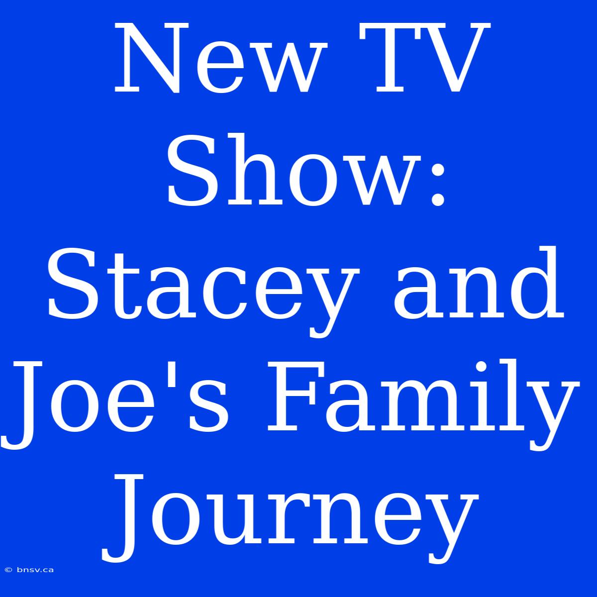 New TV Show: Stacey And Joe's Family Journey