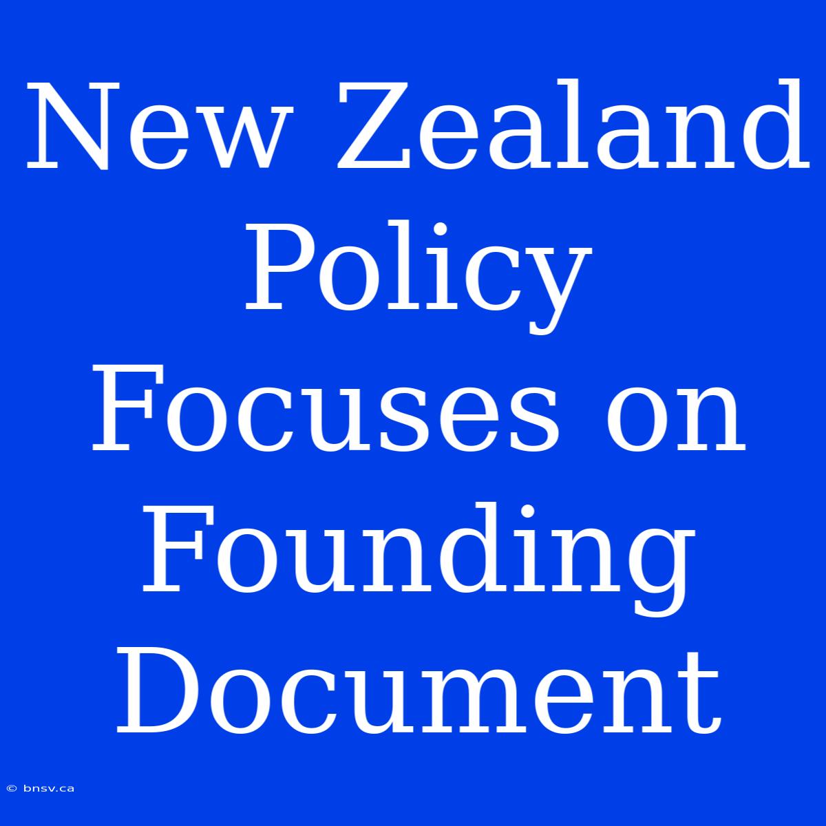 New Zealand Policy Focuses On Founding Document