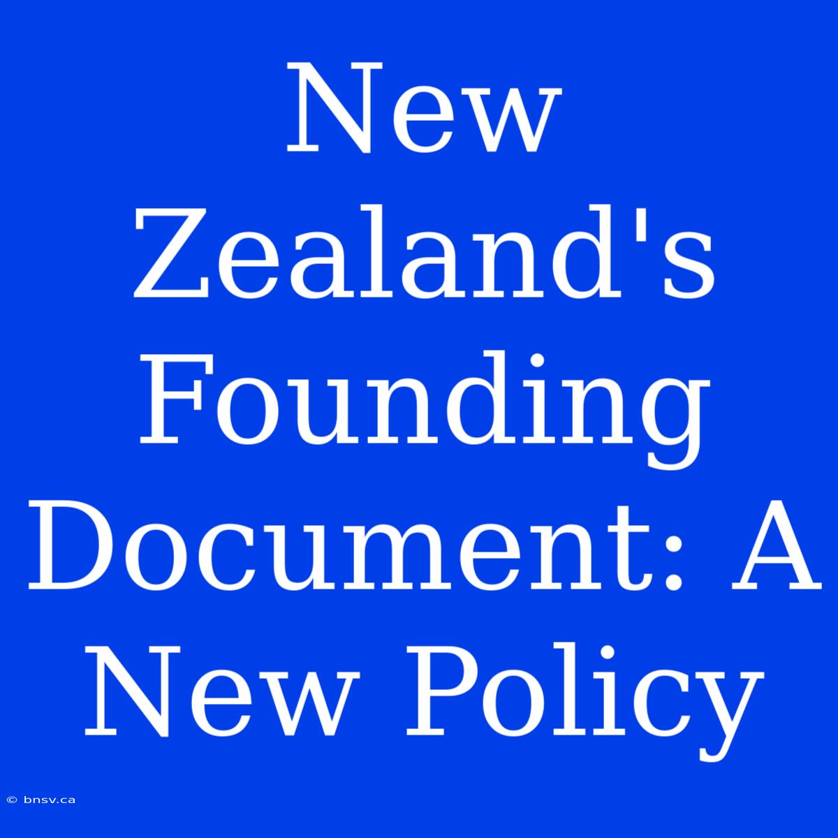 New Zealand's Founding Document: A New Policy