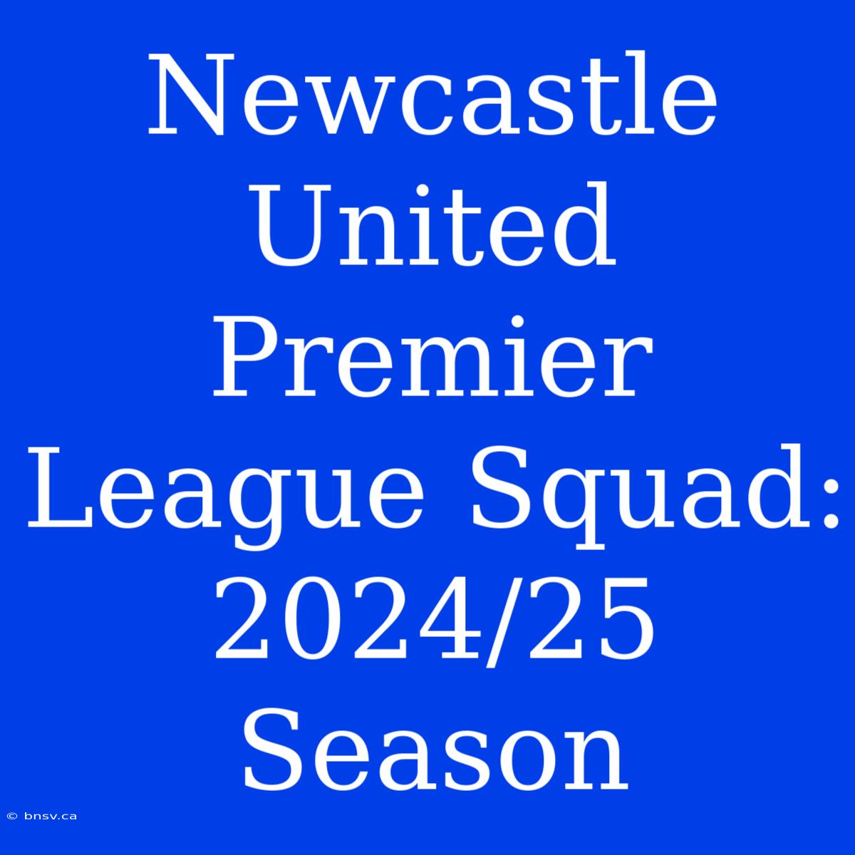 Newcastle United Premier League Squad: 2024/25 Season