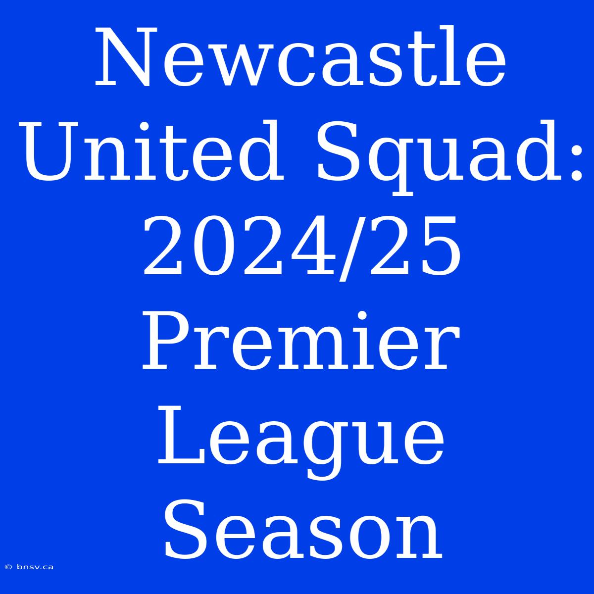 Newcastle United Squad: 2024/25 Premier League Season