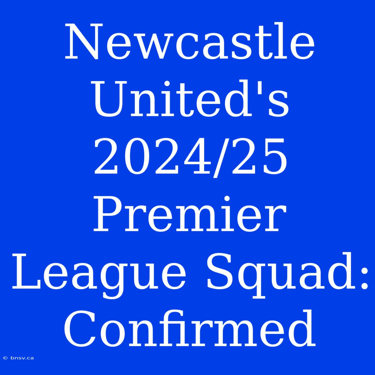 Newcastle United's 2024/25 Premier League Squad: Confirmed