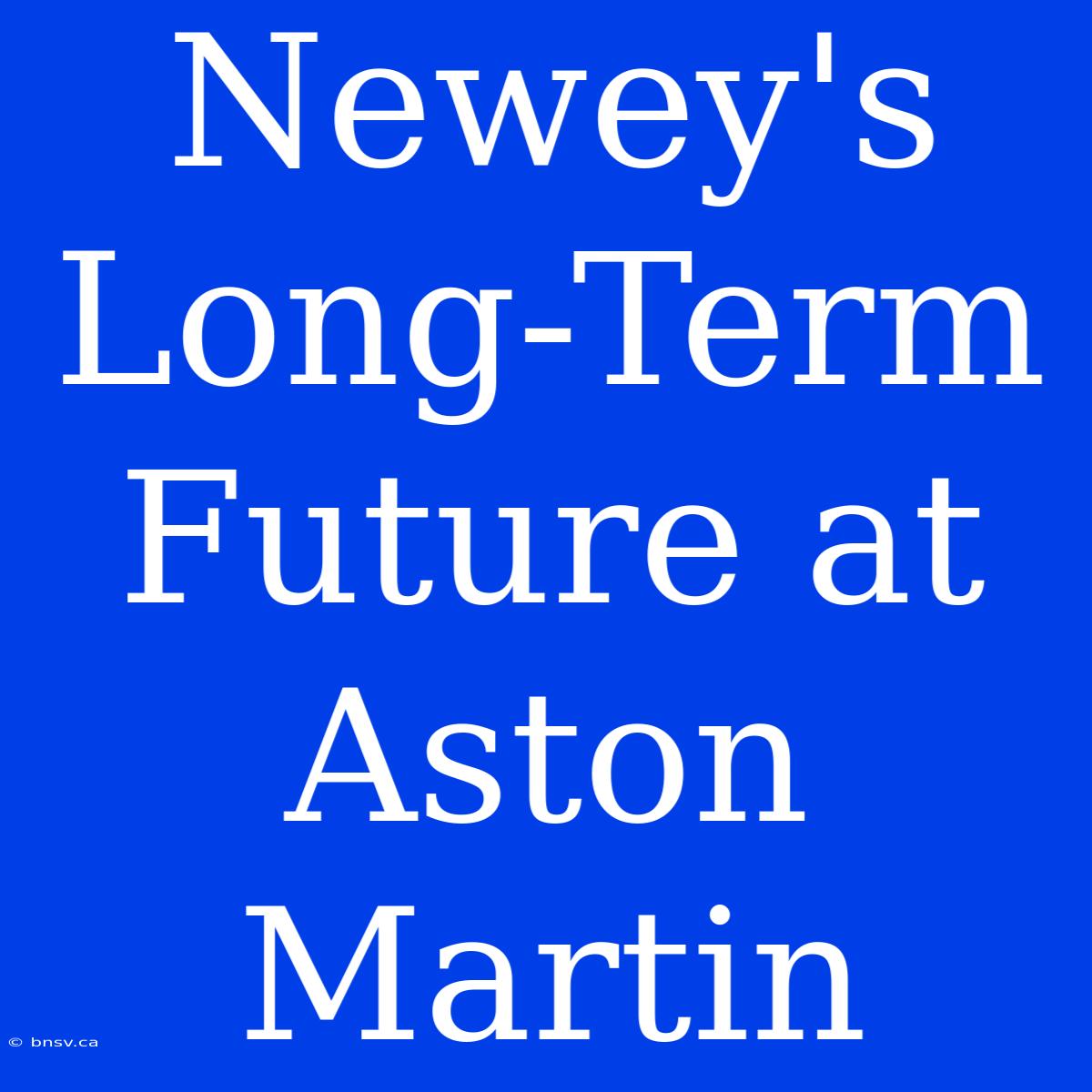 Newey's Long-Term Future At Aston Martin