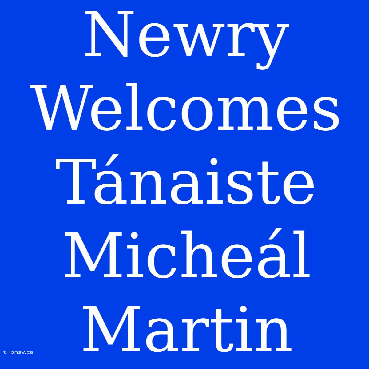 Newry Welcomes Tánaiste Micheál Martin