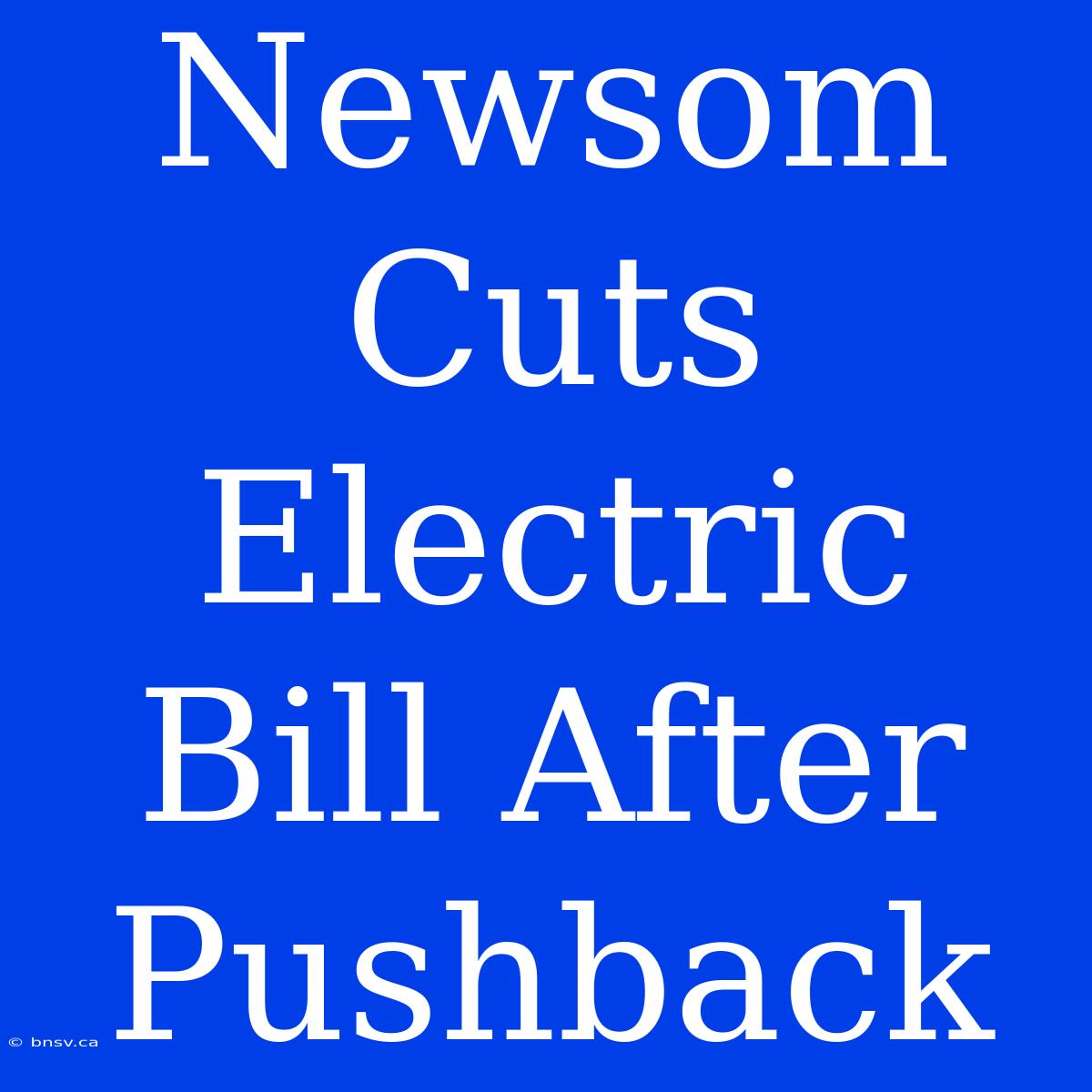 Newsom Cuts Electric Bill After Pushback