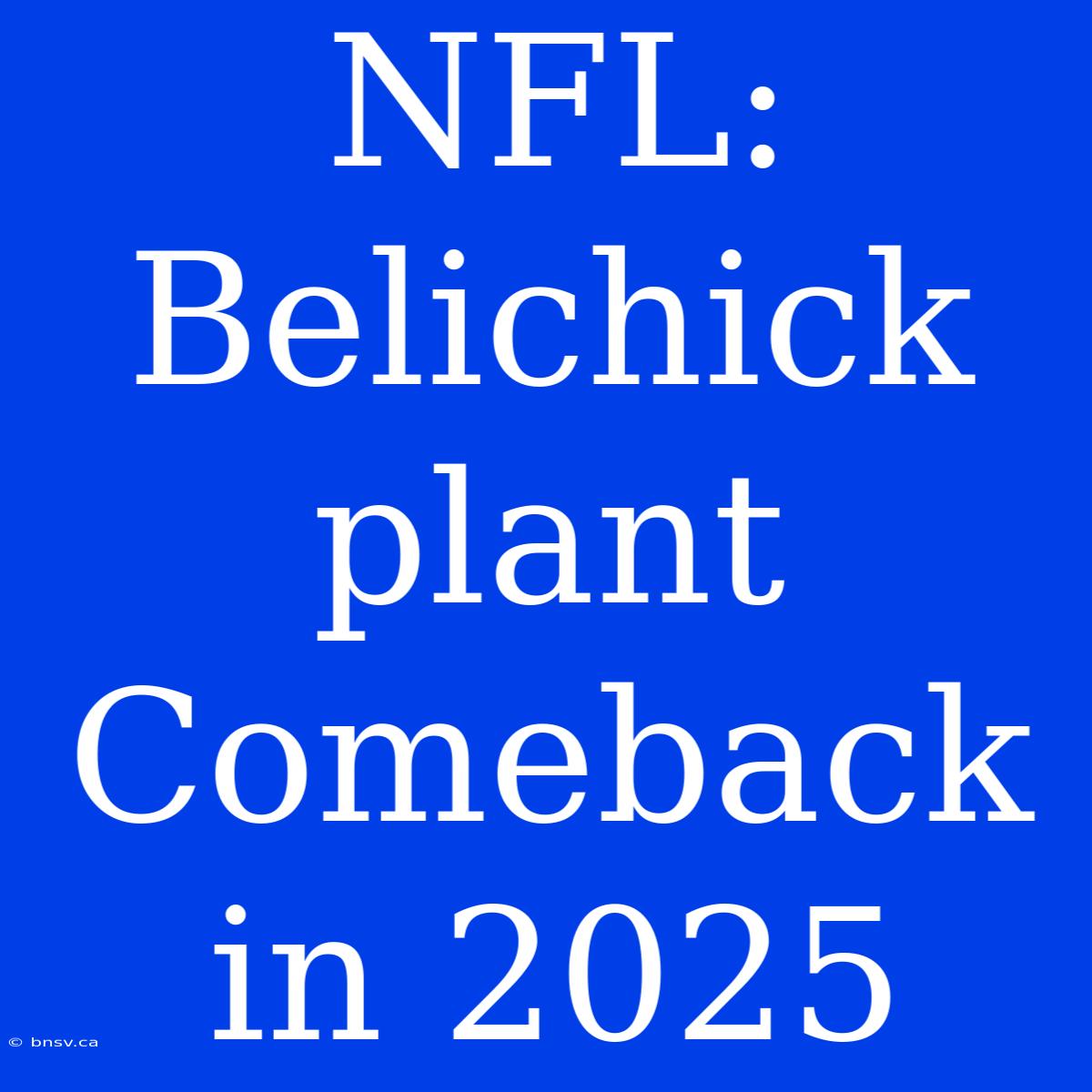 NFL: Belichick Plant Comeback In 2025