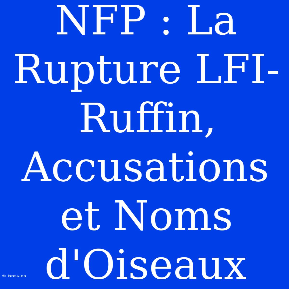 NFP : La Rupture LFI-Ruffin, Accusations Et Noms D'Oiseaux