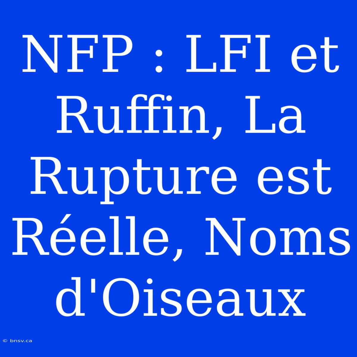 NFP : LFI Et Ruffin, La Rupture Est Réelle, Noms D'Oiseaux