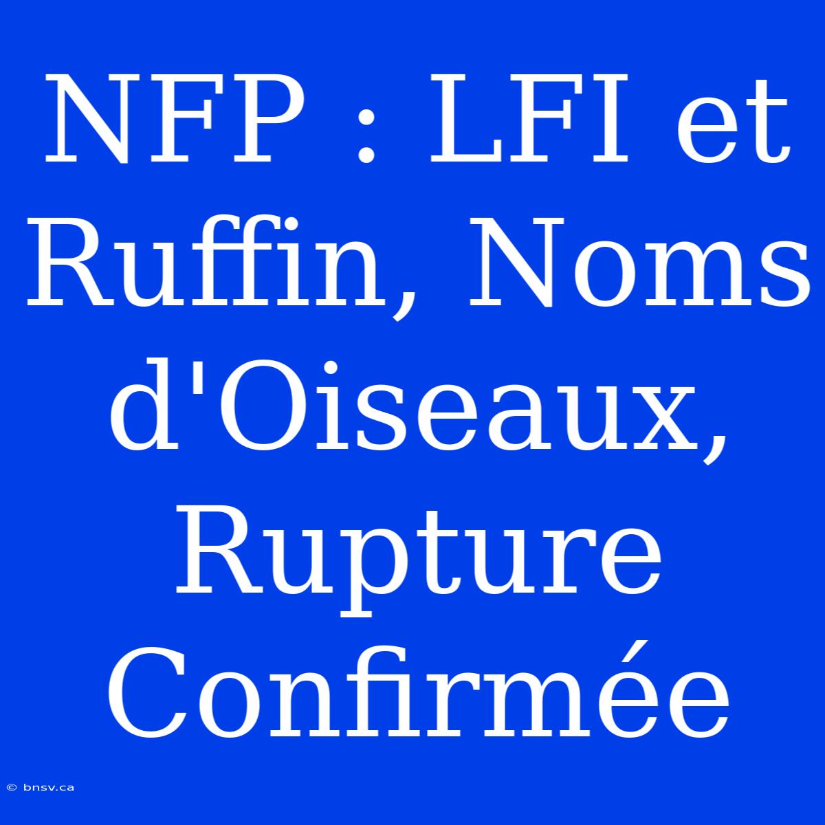 NFP : LFI Et Ruffin, Noms D'Oiseaux, Rupture Confirmée