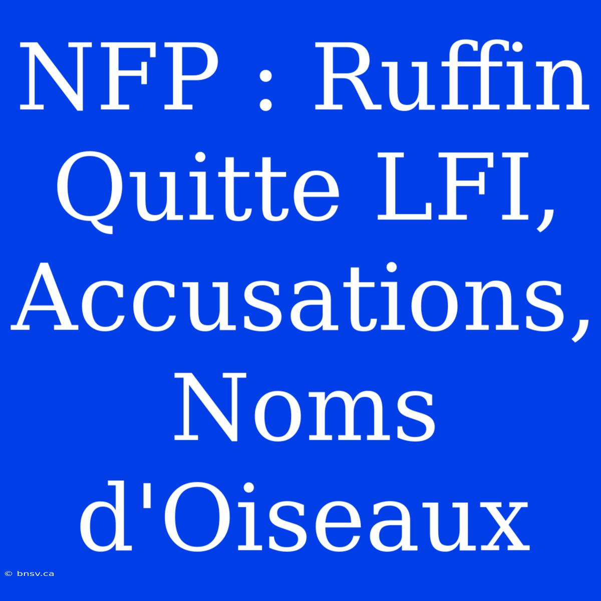 NFP : Ruffin Quitte LFI, Accusations, Noms D'Oiseaux