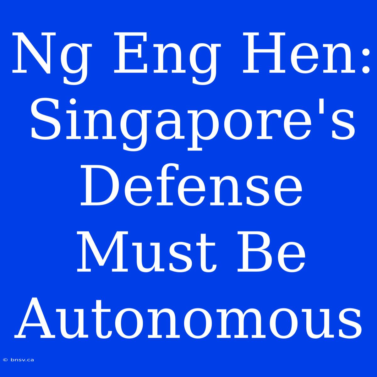 Ng Eng Hen: Singapore's Defense Must Be Autonomous