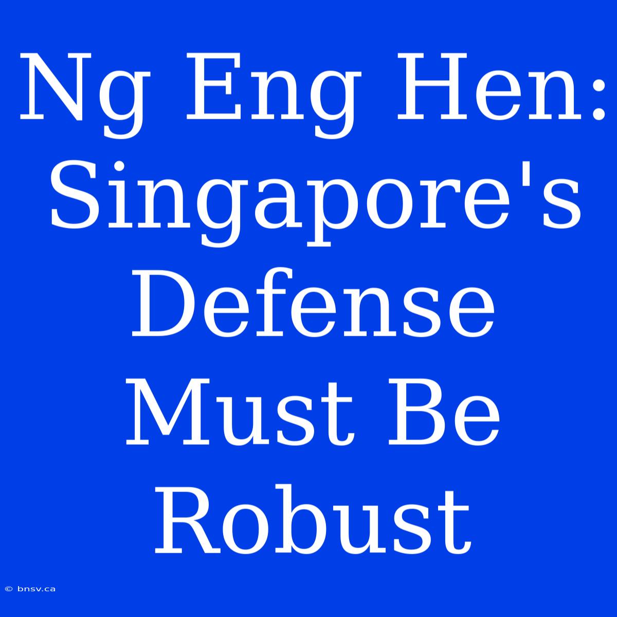 Ng Eng Hen: Singapore's Defense Must Be Robust