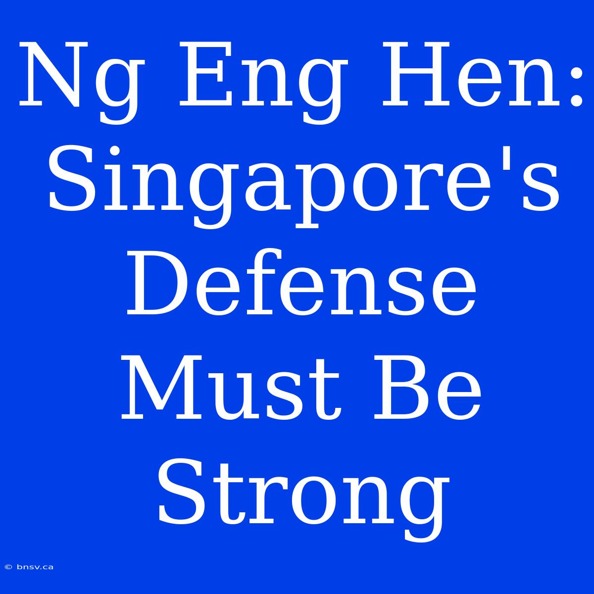 Ng Eng Hen: Singapore's Defense Must Be Strong